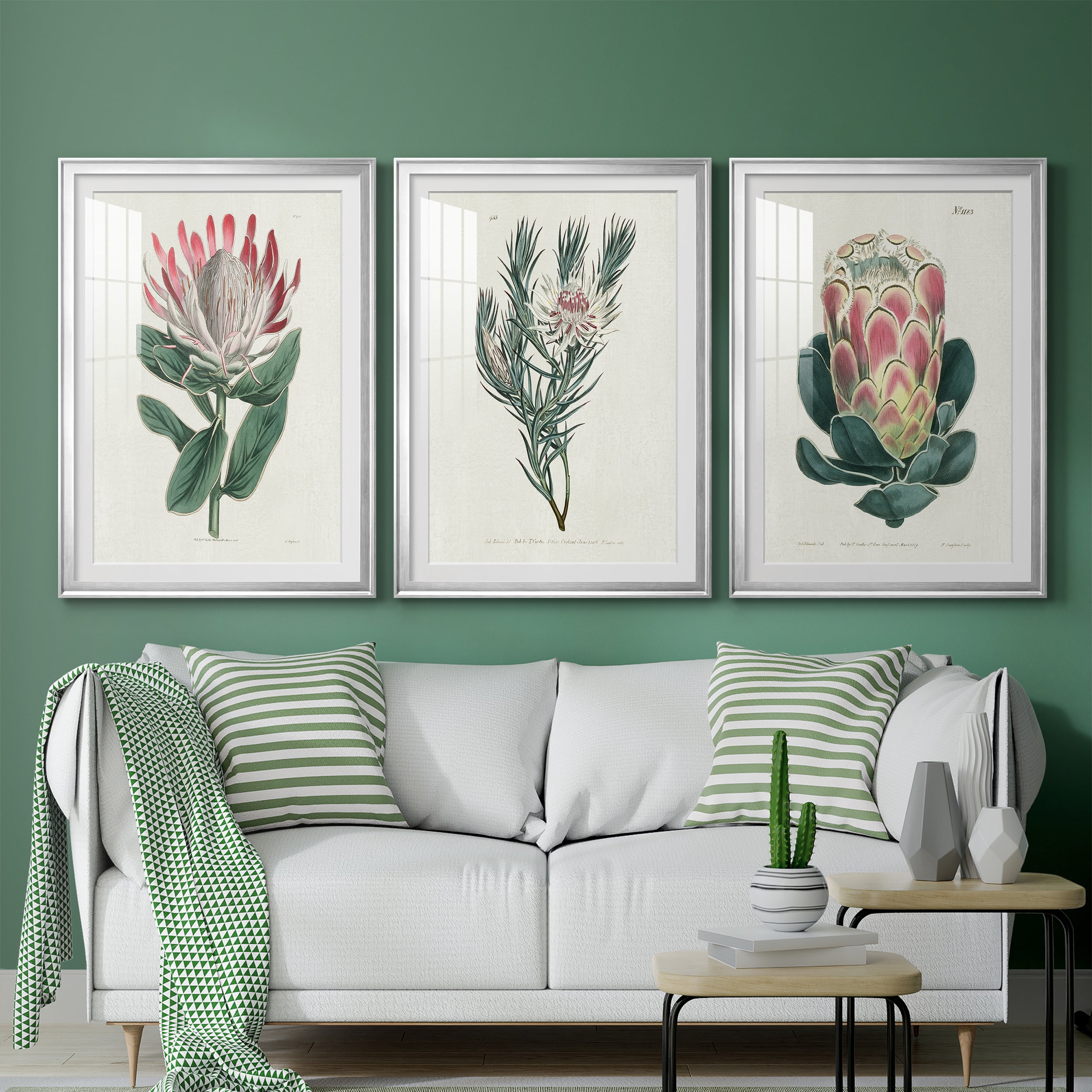 Protea N13 Premium Framed Prints Set of 3 - Ready to Hang - 26.5 x 36.5 Each - Silver Frame