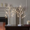 thumbnail image 3 of EAMBRITE Lighted Birch Tree for Christmas Decorations, 2 Pack 2FT Artificial Tree Battery Operated and USB, Tabletop Tree Christmas Decor for Home Decor, 3 of 9