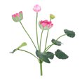 thumbnail image 1 of unbranded Rama Decorativa Con Flor De Loto Artificial Rosa Para De Hogar Y Oficina, 1 of 8