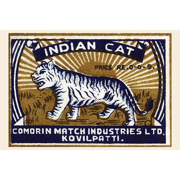 Indian Cat-Fine Art Canvas Print (20" x 30")