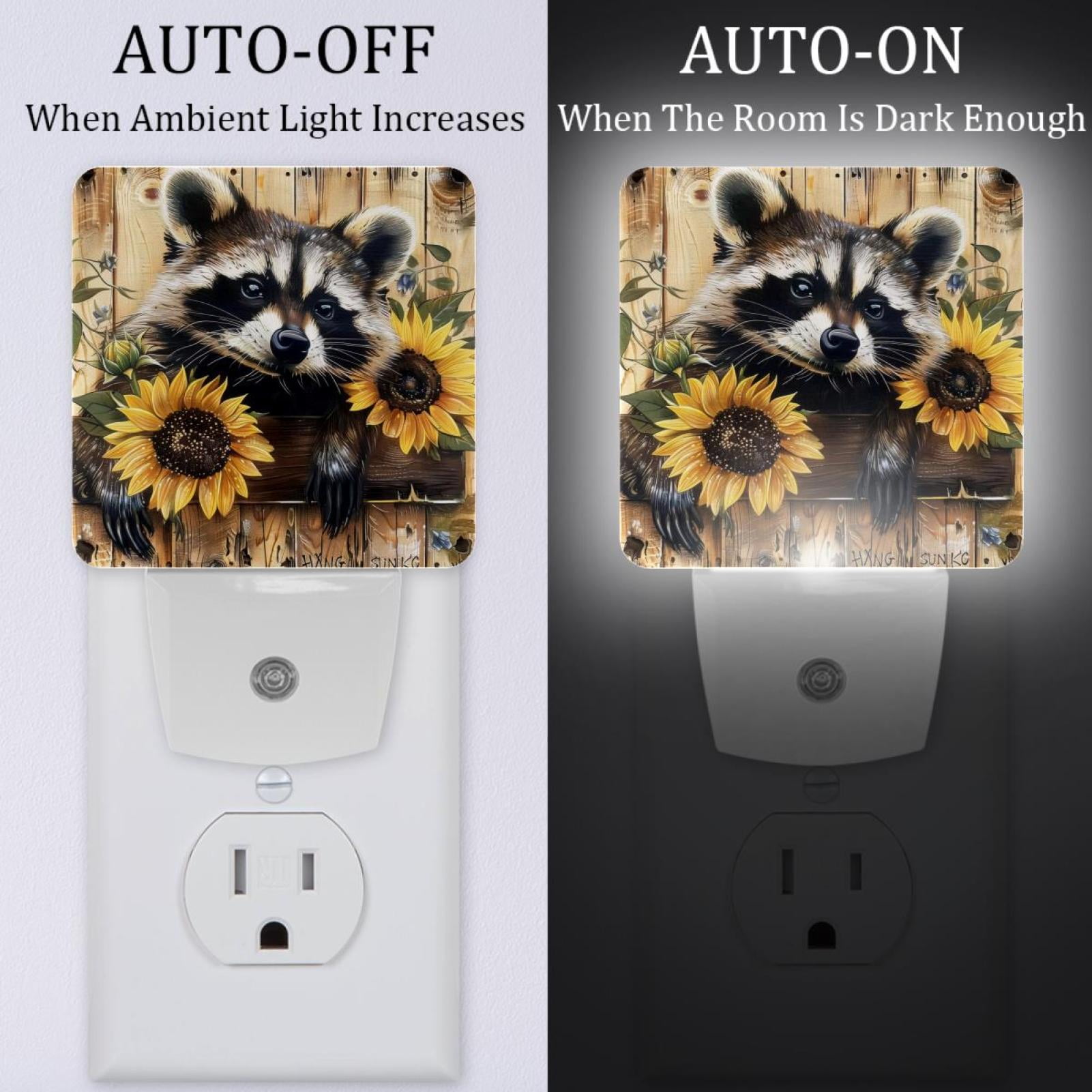 PhooArto Sunflower Raccoon in Wooden Board Plug in LED Night Light Auto Sensor Dusk to Dawn Decorative Night for Bedroom, Bathroom, Kitchen, Hallway, Stairs, Baby's Room, Energy Saving