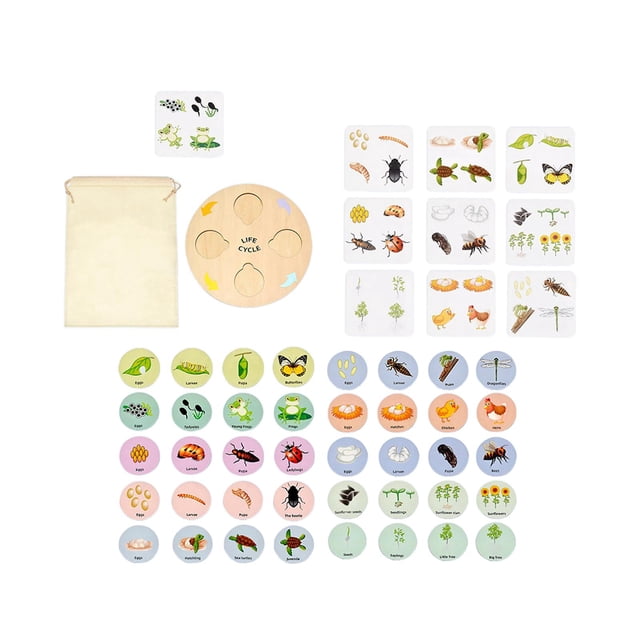 Life Cycle Toy Montessori Montessori Life Cycle Tray Matching Game Education