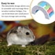 thumbnail image 4 of Greeniant Juguetes de hámster, puente de de arcoíris, juguete de actividad para hacer ejercicio, suministros de cama para dormir para Juguetes de animales pequeños, 4 of 6