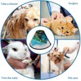 thumbnail image 4 of Sea Turtle Soft Cat Dog Recovery Collar Adjustable Cat Cone Wound Healing Protective After Surgery for Medium Dogs, 4 of 7