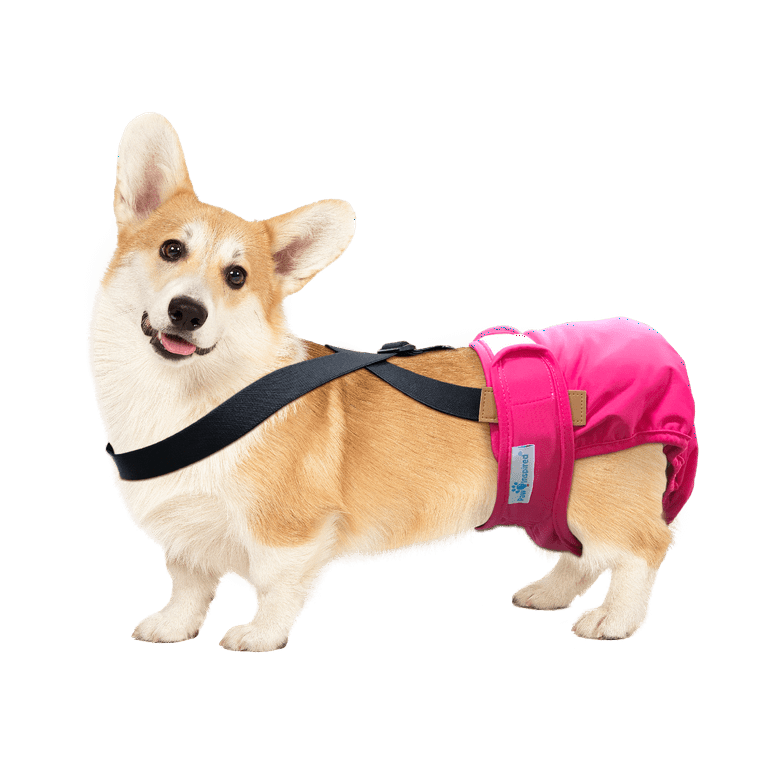 Paw Inspired Dog Diaper Suspenders Keep Male Dog Wraps and Female Dog Diapers Stay on with Suspenders Fits Washable and Disposable Puppy Doggie Cat Pet Diapers and Male Dog Belly