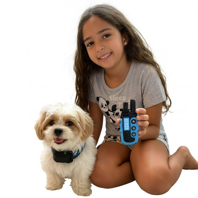 vibrating dog collar walmart Vibration Dog Collar No Shock