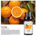 thumbnail image 4 of Fiudx Ofertas del día Acete aromaterapia para aliviar la fatiga, 10 ml, naranja, 4 of 7