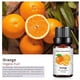 thumbnail image 4 of Aceite esencial de naranja para aliviar la fatiga, aromaterapia, 10 ml., 4 of 9