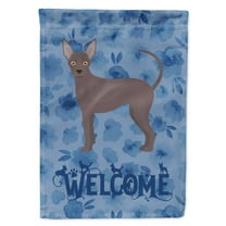 Carolines Treasures CK5961GF Abyssinian Sand Terrier Welcome Flag Garden Size Small multicolor