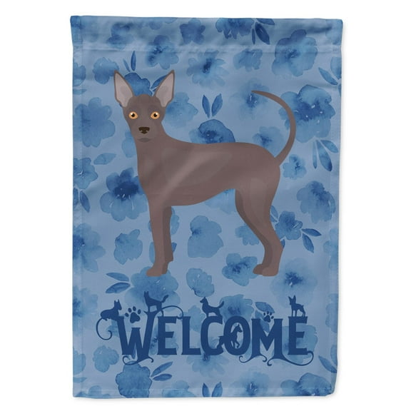 Carolines Treasures CK5961GF Abyssinian Sand Terrier Welcome Flag Garden Size Small multicolor