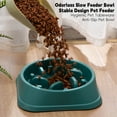 Eisoary Slow Feeder Bowl AntiSlip Dog Slow Eating Bowl AntiChoking