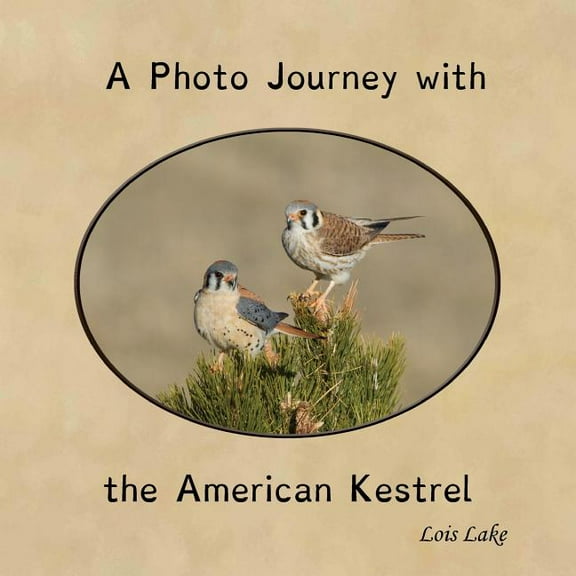 A Photo Journey with the American Kestrel, (Paperback)