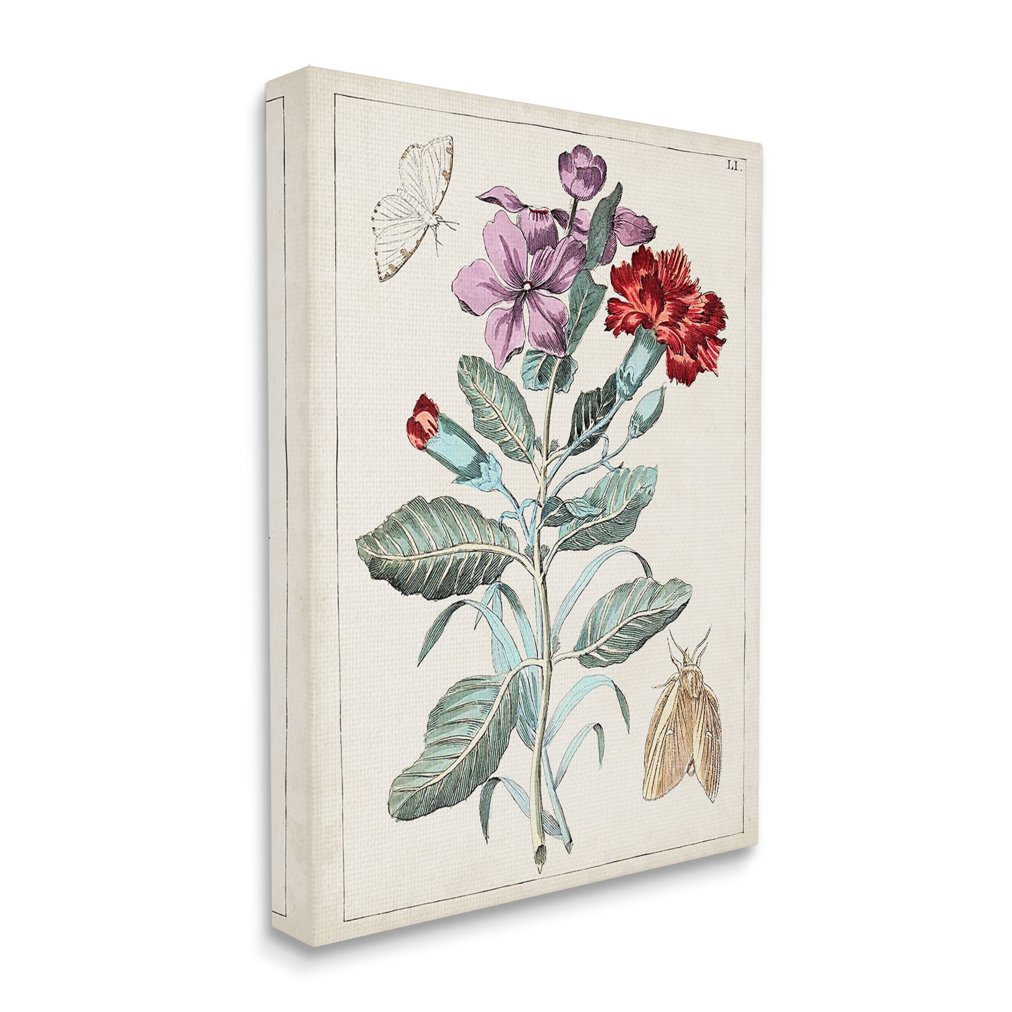 Stupell Industries Vintage Moths with Flowers Botanical & Floral Painting Gallery Wrapped Canvas Art Print Wall Art, 30 x 40