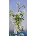thumbnail image 2 of Anderson, Sophie 14x24 White Modern Wood Framed Museum Art Print Titled - Blossom I, 2 of 4