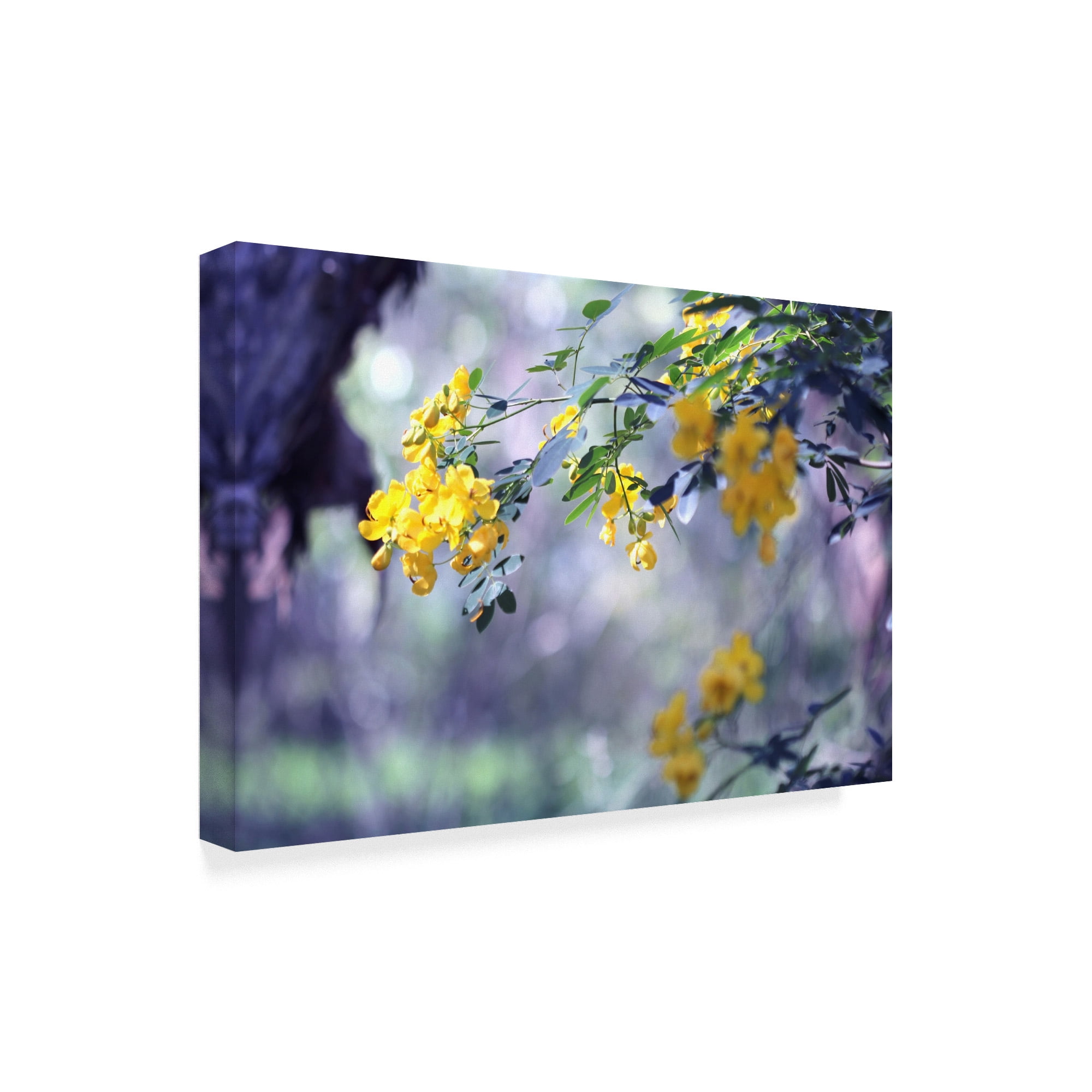 Trademark Fine Art 'Yellow In Her Garden Hanging' Canvas Art by Incredi