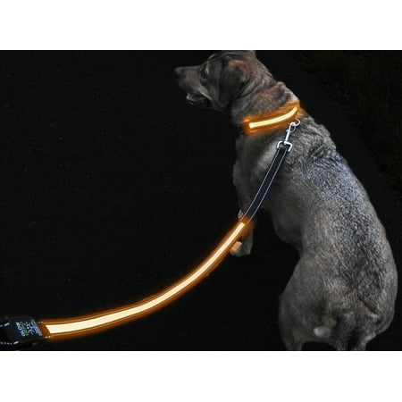GlowHERO LED Light Up Dog Leash - The Original GlowLeash - High Visibility Durable and Reflective LED Pet Leash w/Padded Shock Absorbing Handle (Neon Orange,