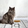 thumbnail image 4 of TABLZONE Pet Watering Bowls Elevated Ceramic Design For Cats And Small Dogs Feeding 1 Set, 4 of 8