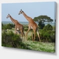 thumbnail image 2 of Two Giraffes in African Savannah - African Canvas Art Print, 2 of 3