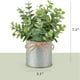 thumbnail image 5 of 2 Paquetes de Pequeñas Plantas Artificiales en Macetas Galvanizadas de Estilo Rústico. Centro de Mesa con Mini Eucalipto Artificial., 5 of 5