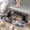 Sleeping Cat, variant on 1pc Panda Lying Down with Hearts Absorbent Non-Slip Bathroom Thickened Flannel Rug Decor,Soft,Quick Drying,Suitable For Indoor/outdoor Use,Bathrooms,Bedrooms,Kitchens,Terrace,Laundry Rooms,16"x24"