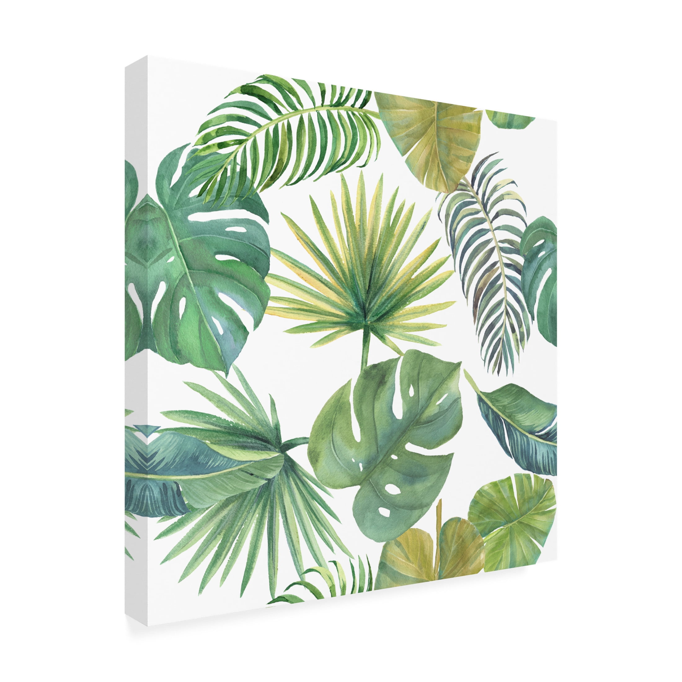 Canvas Wall Art - Jean Plout 'Tropical Beauty A' Wall Art for Living Room, Bedroom, or Office Décor by Trademark Fine Art - 14 x 14 Inches