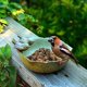 thumbnail image 2 of Bañera para pájaros redonda con dos pájaros decorativos de cerámica: bebedero y comedero para pájaros al aire libre a pie para pájaros silvestres, 2 of 4