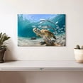 thumbnail image 2 of Elephant Stock Curacao Fish And Turtle Wall Art - Horizontal Canvas Wall Art - Living Room Wall Decor - Animal Canvas - Teal And Blue Decor - 12" x 8", 2 of 8