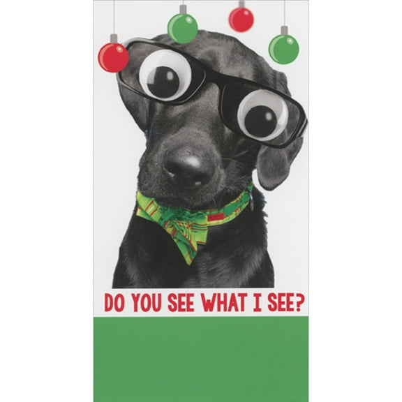 RSVP Black Lab Wearing Googly Eye Glasses Funny Money Holder / Gift Card Holder Christmas Card