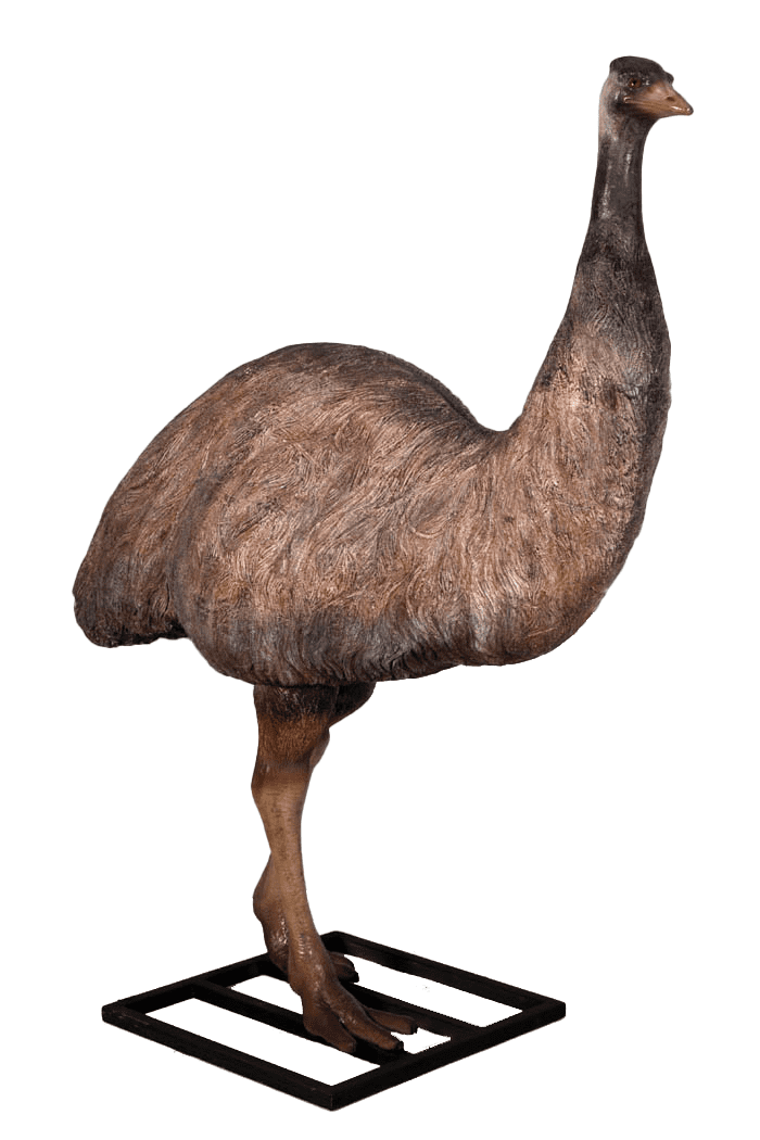 Emu Life Size Statue