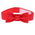 thumbnail image 1 of Collier Décoratif pour Chien Nœud Papillon pour Animaux de Compagnie, 1 of 9