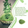 thumbnail image 4 of Wosthever Adorno de terrario Rainforest Diorama Supplies Faux Moss Enchanted Semi-handmade Floral Surtido Green-cover Decoración del hogar Nº 115 9*12cm, 4 of 6