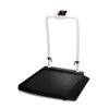 ricelake 350-10-2 single ramp wheelchair scale