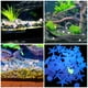 thumbnail image 5 of KAKOWELY 100 piedras luminosas para acuario con temática oceánica que brillan en la oscuridad y noctilucentes., 5 of 5