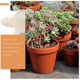 thumbnail image 4 of Mini Turtle Figurine Ornament for Micro Landscape Decoration 24Pcs, 4 of 5