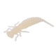 thumbnail image 5 of Eigraketly 10 Uds. De cebos de insectos de simulación, señuelos de pesca portátiles, cebos de pesca suaves reutilizables, cebos de plástico para Jigging Type1 NO1 Eigraketly CBP149418, 5 of 6