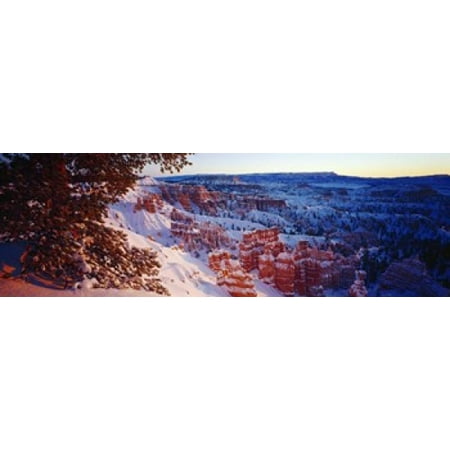 Snow in Bryce Canyon National Park Utah USA Stretched Canvas - Panoramic Images (36 x