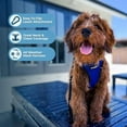 thumbnail image 5 of Voyager Step-in Air Dog Harness - All Weather Mesh Step in Vest Harness for Small and Medium Dogs and Cats by Best Pet Supplies - Harness (Royal Blue/Black Trim), S (Chest: 14.5-16"), 5 of 6