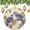 pattern-1394, variant on Christmas Tree Ornament Two Birds Sitting On A Purple Vine Xmas Tree Ornaments Fly Birds with Flowers Ornament Christmas Ornaments for Christmas Tree Decorations