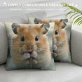 thumbnail image 3 of Pratyus Cute Hamster Modern Rustic Decorative Couch Pillow Cases with Zipper Home Decor Mother's Day Autumn Theme Printed on Both Sides 1PC 18x18in, 3 of 5