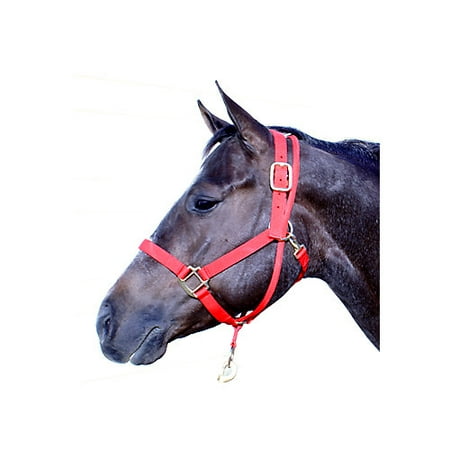 Sporn Training Halter - Basic Pull Back Training Halter Black