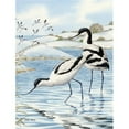 thumbnail image 1 of Carolines Treasures ASA2056GF Avocets Flag Garden Size, 1 of 3