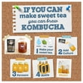 thumbnail image 5 of Fermentaholics SCOBY USDA Organic Live Kombucha Starter Culture Half Gallon, 5 of 8