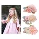 thumbnail image 5 of 3 piezas de pinza para el pelo con flores para niña, accesorios para el cabello de verano, pasadores para el cabello estampados, cinta Sunnimix  Horquilla para niños, 5 of 8