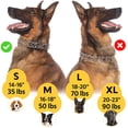 thumbnail image 5 of Collar en forma de púas PET JETT para perros, ajustable, de acero inoxidable, 5 of 5