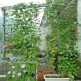 thumbnail image 3 of 1pc Horticultural Plants Climbing Vine Nets Cucumber, Fruit, Morning Glory Climbing Flowers Climbing Vine Ropes For Climbing Plants, 3 of 5