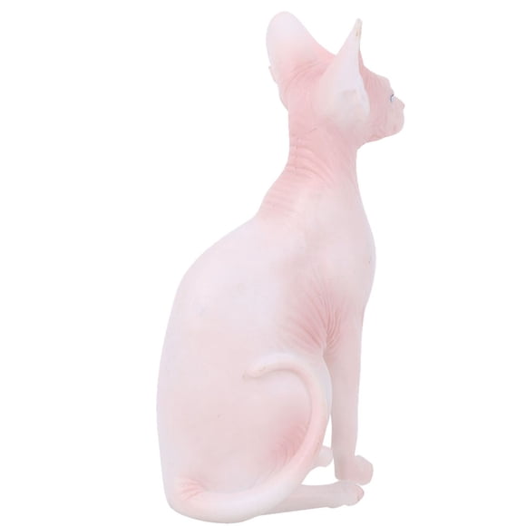 Delicate Durability Cat Model, Hairless Cat Model, For Collectors Teachers PL127-1562,PL127-1563
