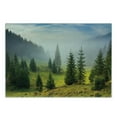 thumbnail image 3 of Forest Cutting Board, Fir Trees on Meadow Between Hillsides Conifer Woodland in Fog Before Sunrise, Decorative Tempered Glass Cutting and Serving Board, Small Size, White Green, by Ambesonne, 3 of 5