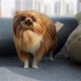 thumbnail image 3 of HEVIRGO Simulated Cute Pomeranian Dog Photography Props Desktop Car Home Decor Toy Gift,Yellow, 3 of 9