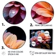 thumbnail image 3 of Designart "Moonlit Zinnias II" Zinnias Wall Art Prints, 3 of 7