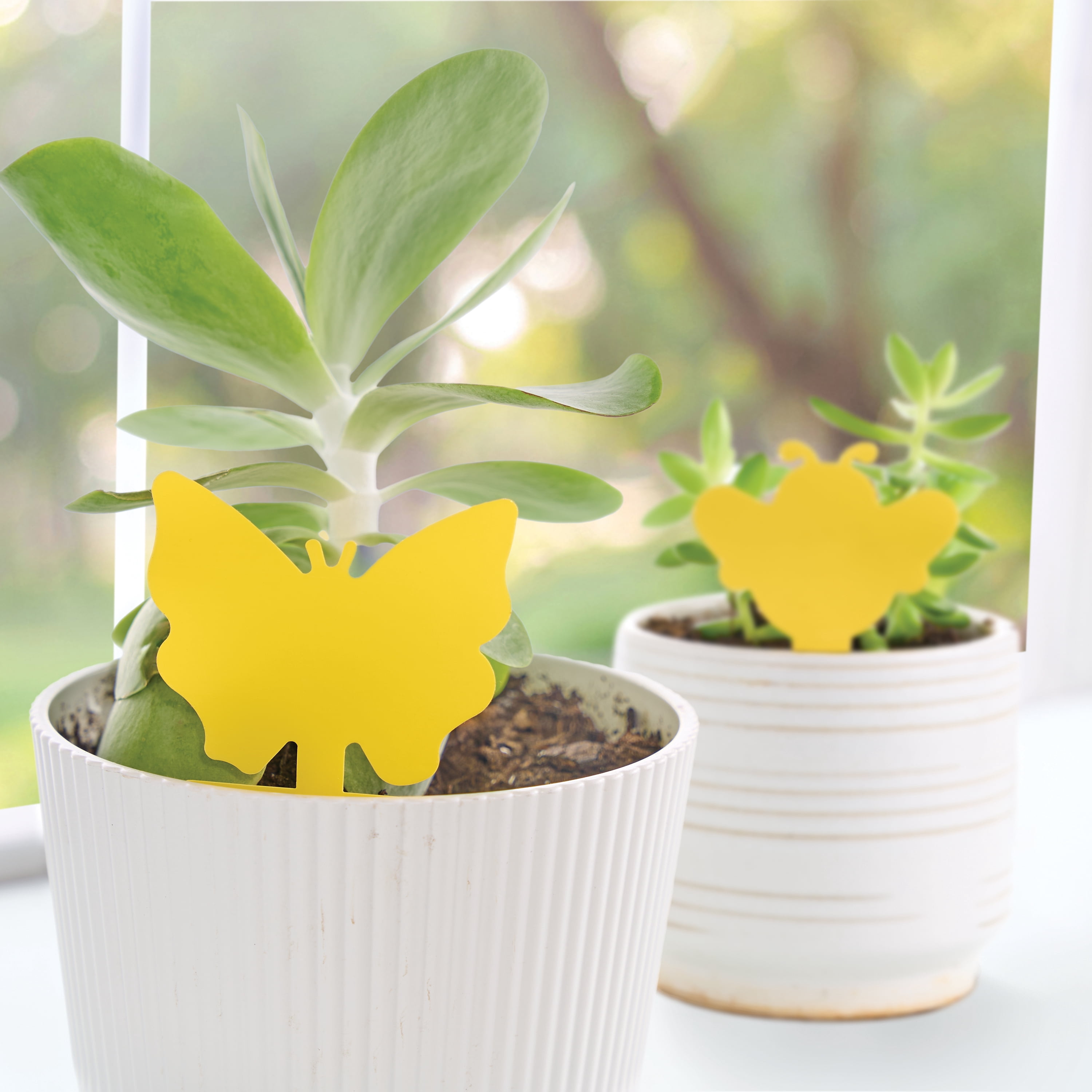 Expert Gardener Plant Insect Sticky Traps for Gnats, Aphids, and Plant Lice, 12 Pack